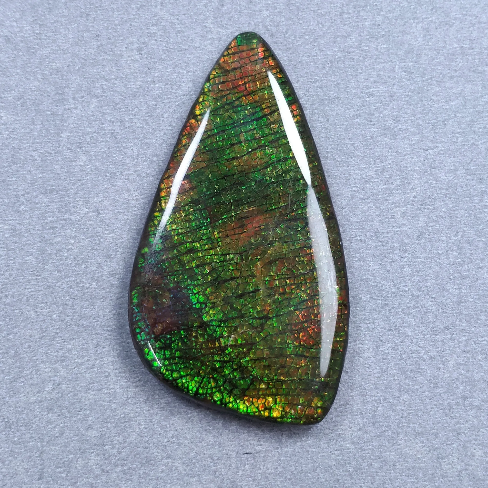 AMMOLITE Gemstone Cabochon : 105.45cts Natural Fossilized Shell Bi-Color Ammolite Uneven Shape Cabochon 59*32mm (With Video)