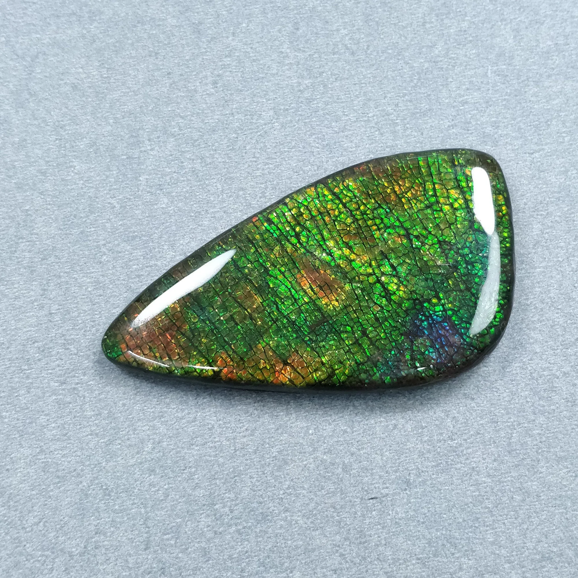 AMMOLITE Gemstone Cabochon : 105.45cts Natural Fossilized Shell Bi-Color Ammolite Uneven Shape Cabochon 59*32mm (With Video)