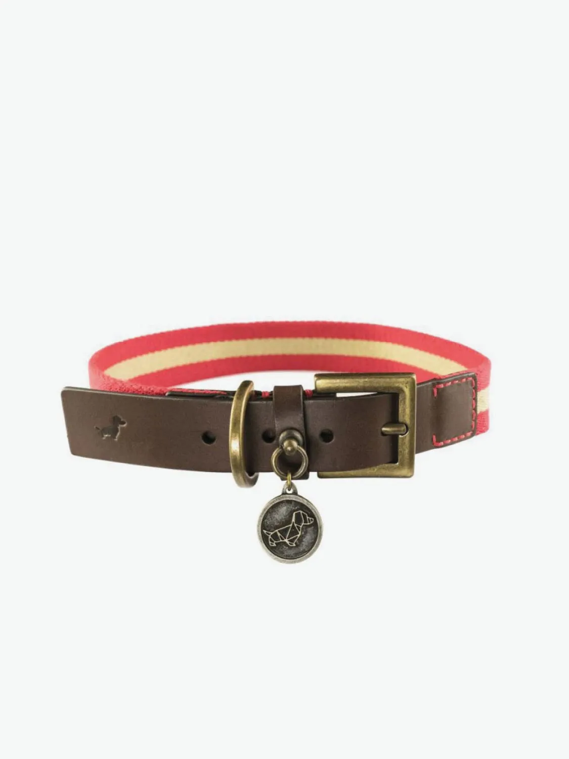 Dog Collar