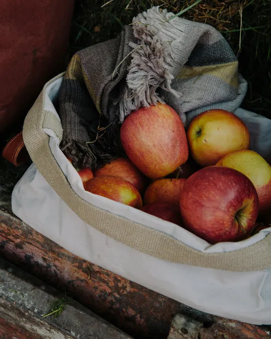 Paper Tray with handles